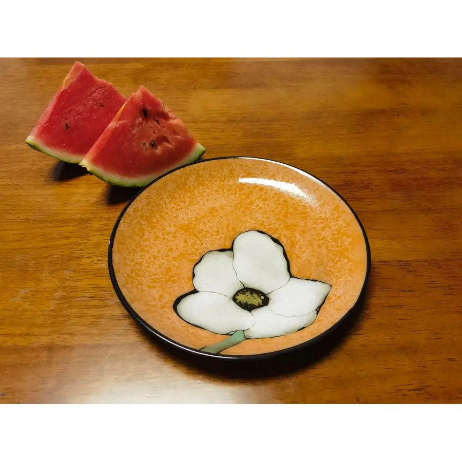 Set of 4 Ceramic Plates Set