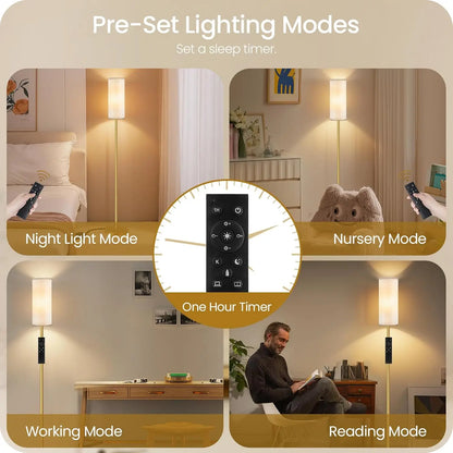 Set of 2 Dimmable Floor Lamps with Remotes