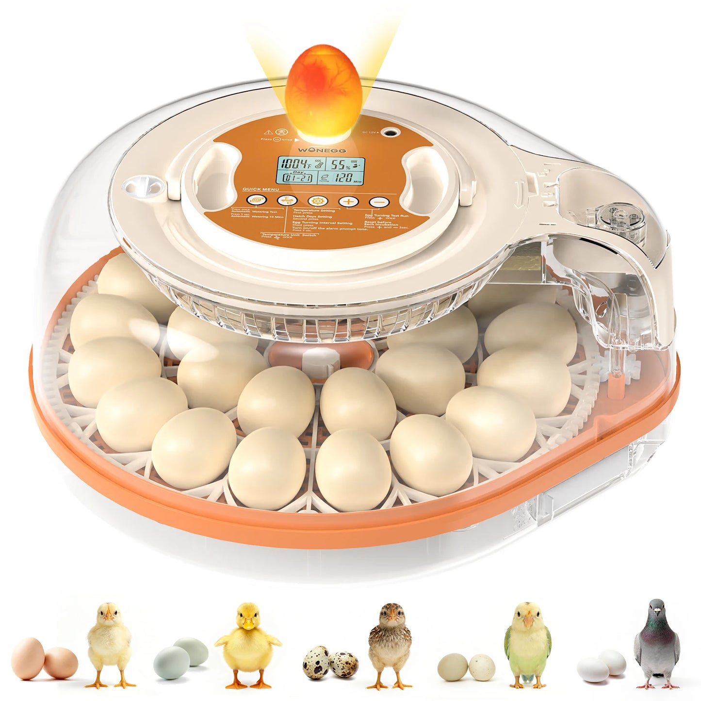 26 Egg Incubator w/Automatic Turning, Temperature and Humidity Control