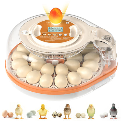 26 Egg Incubator w/Automatic Turning, Temperature and Humidity Control