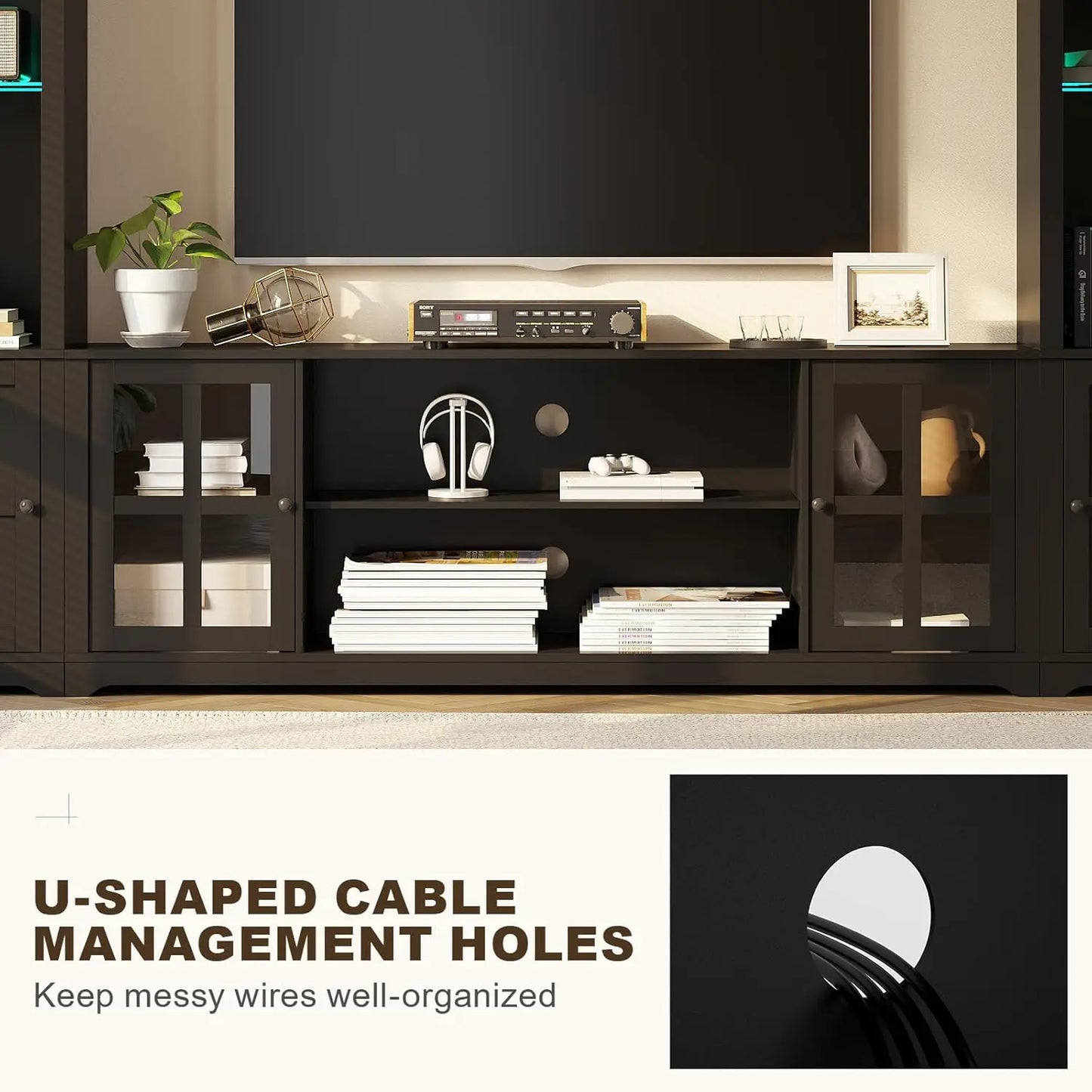 Wall Unit Entertainment Center with Bookshelves