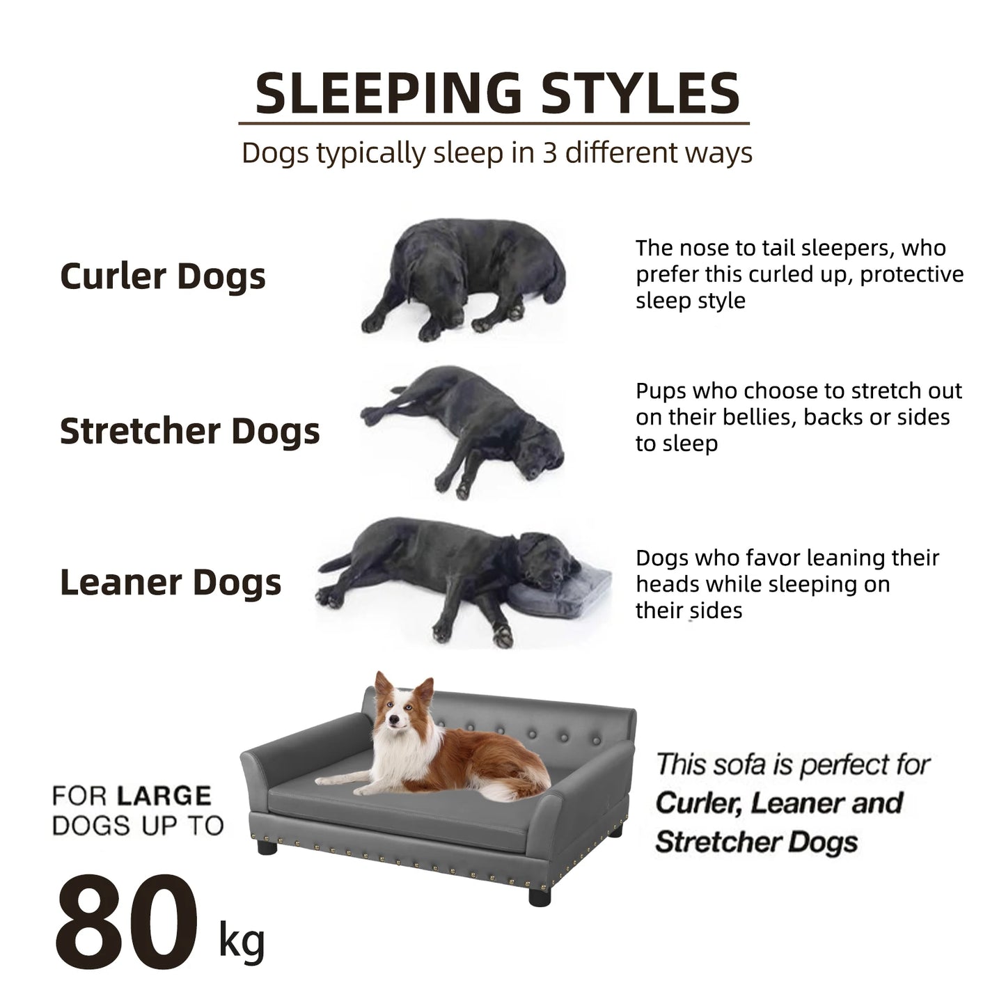 Large Elevated Dog Sofa Bed