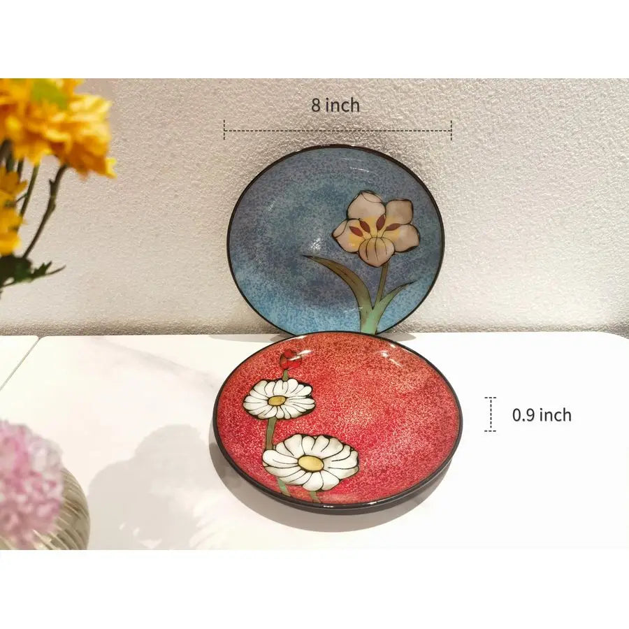 Set of 4 Ceramic Plates Set
