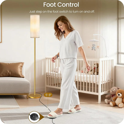 Set of 2 Dimmable Floor Lamps with Remotes