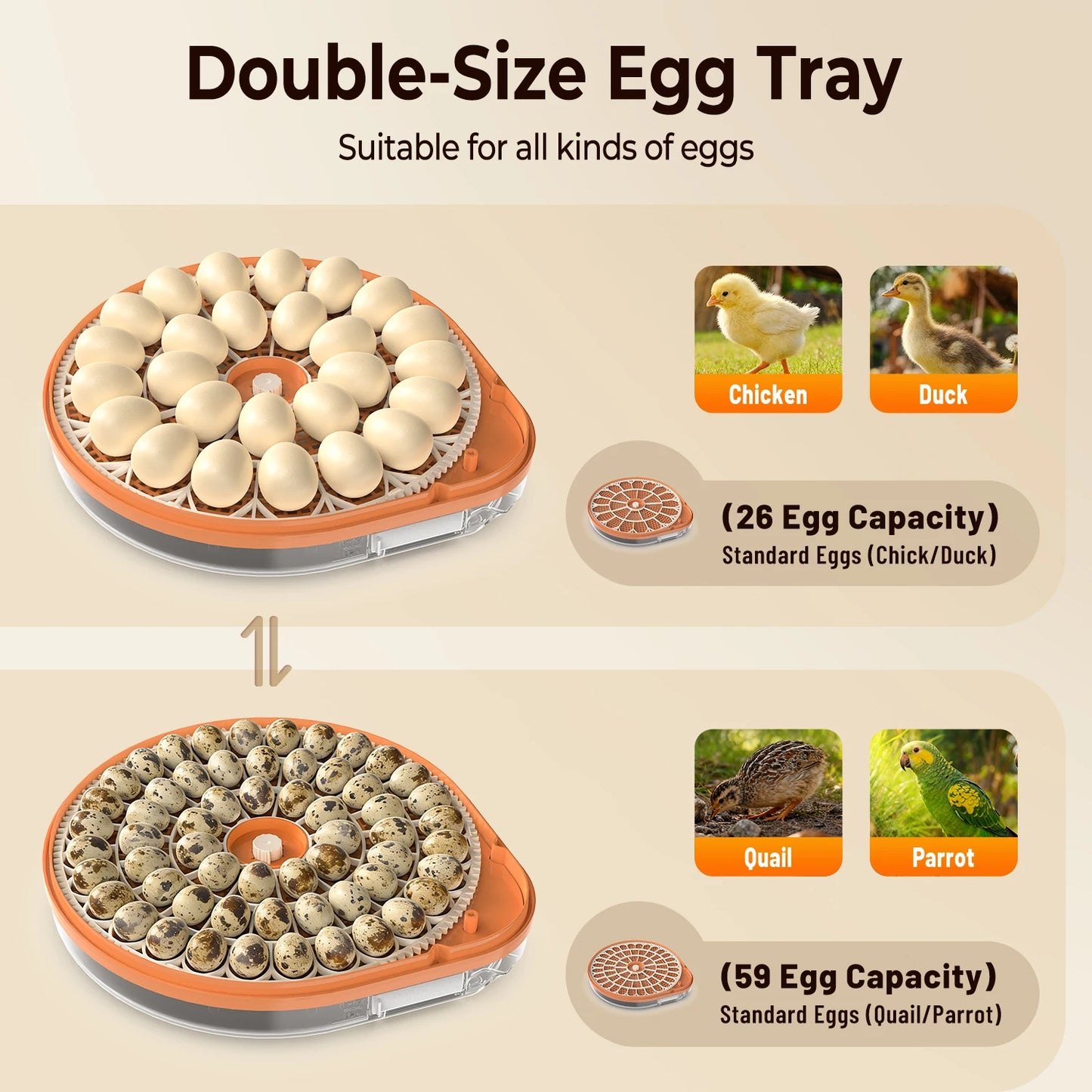26 Egg Incubator w/Automatic Turning, Temperature and Humidity Control