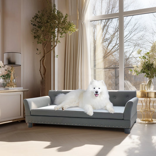 Large Elevated Dog Sofa Bed